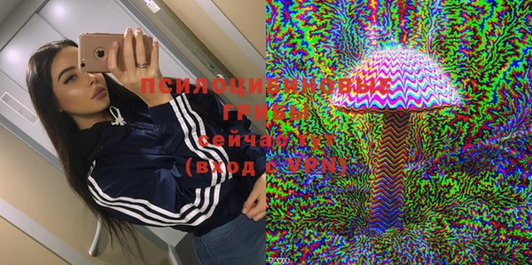 бутират Богородицк