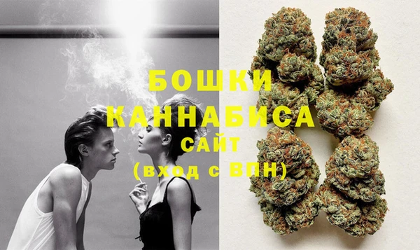 винт Богданович