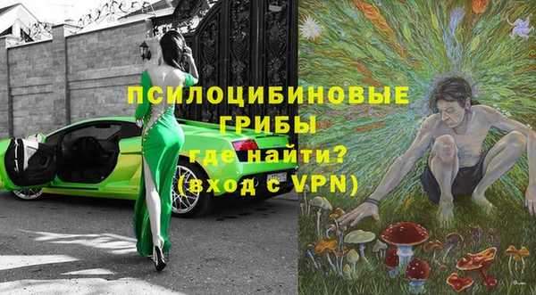 винт Богданович