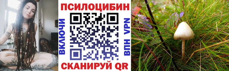 Галлюциногенные грибы MAGIC MUSHROOMS  Малоярославец 